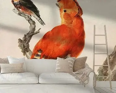 Kup teraz Oranje rotshaan en een ijsvogel (na 1730-voor 1792), Aert Schouwman