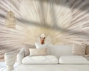 Tani Witte pauw met verenpracht