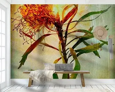 Promocja Imagination