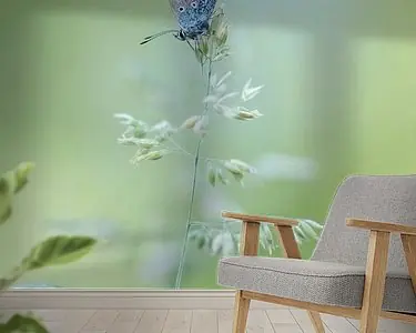 Premium Vlinder ontwaakt tijdens zonsopkomst