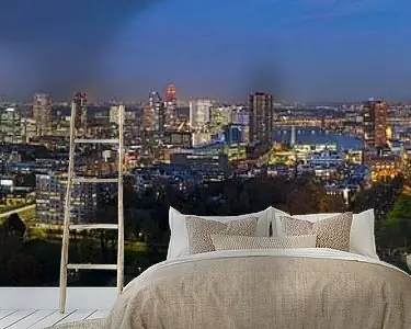 Overzicht skyline Rotterdam panorama Autentyczny