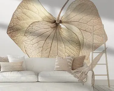 Rabat Stilleven in natuurlijke landelijke kleuren: Hortensiablaadjes