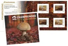 Zamów teraz Frankrijk - Herfst paddestoelen 2025 - Postfris boekje