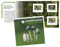 Bezpieczna płatność Frankrijk - Lente paddestoelen 2025 - Postfris boekje