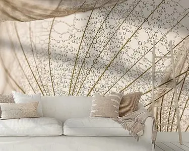 Landelijke eenvoud: Druppels rusten in de pluisjes van een Tragopogon Darmowa dostawa