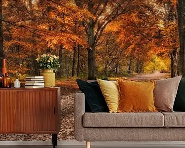 Autentyczny Herfst in Mastbos