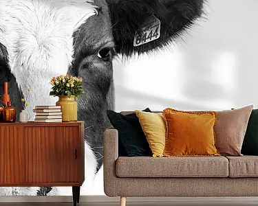 Koe portret in zwart wit Zamów teraz