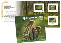 Autentyczny Frankrijk - zomer paddestoelen 2025 - Postfris boekje