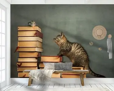 Ik heb je! Niska cena