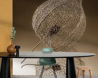 Bruintinten: Een lampionnetje van de lampionplant Bezpieczna płatność