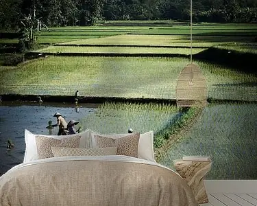 arbeiders in rijstveld Java (gezien bij vtwonen) Rabat