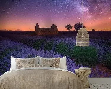 Premium Een Lavendel Nacht