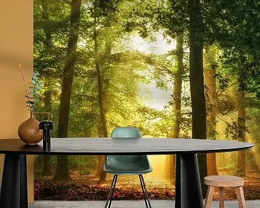 Tylko dziś Hidden in plain sight