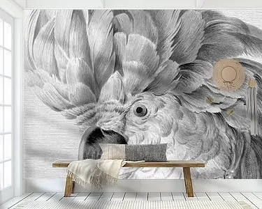 Miss Kaketoe Szybka dostawa