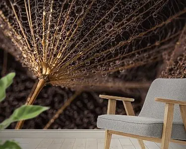 De goudkleurige pluisjes dragen de kleine druppeltjes Tylko dziś