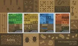 Fundament van het leven - S/S Nowość