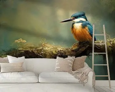 Najlepsza cena IJsvogel | ijsvogel