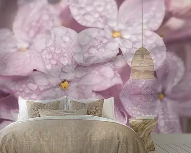 Flexa Kleur van het Jaar 2024 Sweet Embrace Niska cena