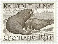 Bezpieczna płatność Groenland - AFA 83