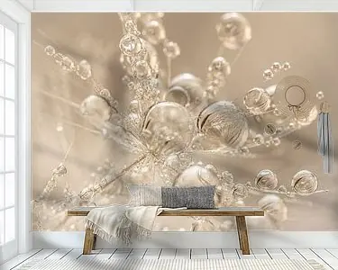 Warme champagne - beige tinten: Druppels schitteren op het pluisje Najlepsza cena