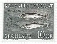 Groenland - AFA 168 Szybka dostawa