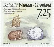 Zamów teraz Groenland - AFA 252