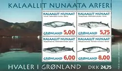 Oferta Groenland - AFA 312 - Postfris