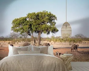 Autentyczny Olifanten (Loxodonta Africana) in Hwange National Park bij een waterpoel .