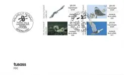 Groenland - Frankeer labels 2025: Sneeuw uilen Copenhagen - FDC Nowość