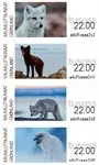 Groenland - Franking labels 2024: Arctic foxes - Postfrisse serie van 4 Tylko dziś