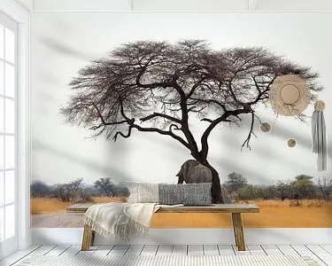 Olifant heeft jeuk Bezpieczna płatność