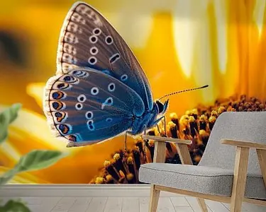 Ostatnia szansa Vlinder op zonnebloem