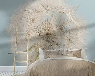 Vierkant met een ronde pluizenbol van een Tragopogon (Morgenster) Oferta limitowana