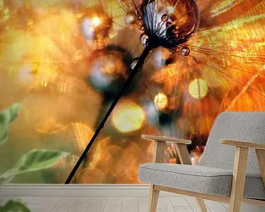 Paardenbloem Dauwdruppels Oferta