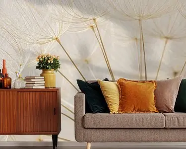 Kup teraz Natuurlijke kleuren: De pluizenbol van een Tragopogon