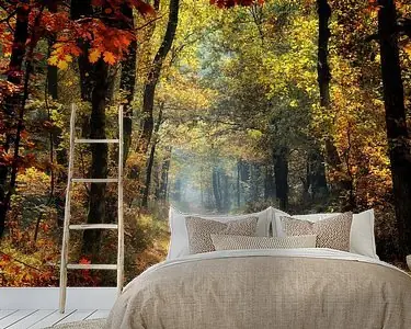 herfst in al zijn kleuren Kup teraz