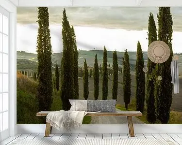 Laan met cipressen in Toscane, Italië Bezpieczna płatność