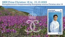 Groenland - Prince Christian 18 years - Postfris souvenirvelletje Ekspresowa dostawa