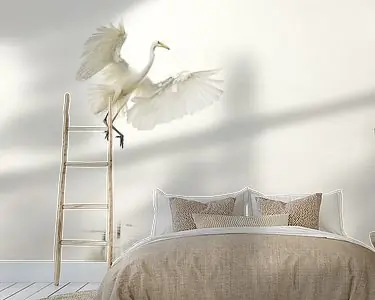 Wyprzedaż Grote Zilverreiger land in de mist