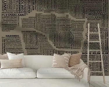 Ekspresowa dostawa Kaart van Leiden