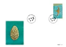 Groenland - UN World Migratory Bird Day - FDC met postzegel Autentyczny