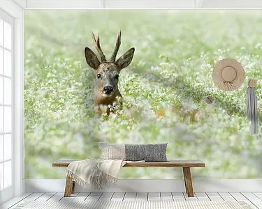 Verstopt in de bloemmetjes Darmowa dostawa