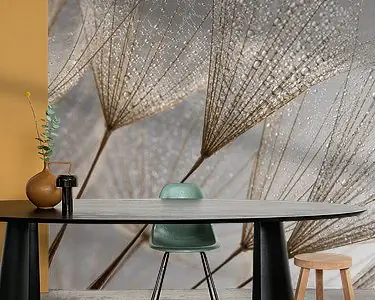 Oferta limitowana Prachtige Pluisjes