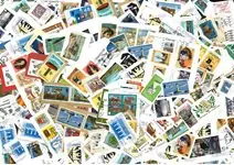 Oferta Guernsey - 200 g kilowaar - Gelegenheid