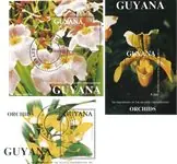 Guyana - Orchideeën - 3 souvenirvelletjes - Gestempeld Tylko dziś