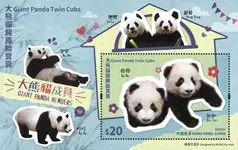 Oryginalny Hong Kong - Grote panda tweeling welpjes - Postfris souvenirvelletje (20 HKD)