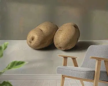 Tylko dziś Twee aardappels (gezien bij vtwonen)