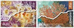 Szybka dostawa Guernsey - EUROPA 2024 Underwater Fauna & Flora - Postfrisse serie van 2