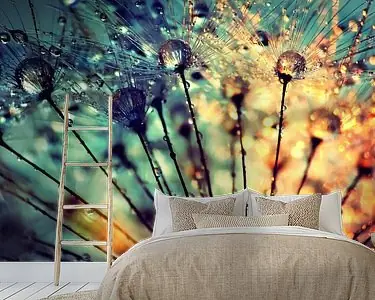 Paardenbloem met dauwdruppels Szybka dostawa