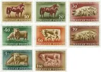 Zwrot pieniędzy Hongarije - AFA 1125-32 Postfris